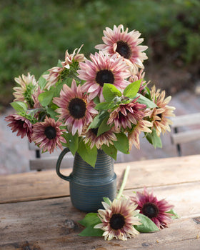 Sonnenblumensamenprofi geschnittene Pflaumensamen geschnitten