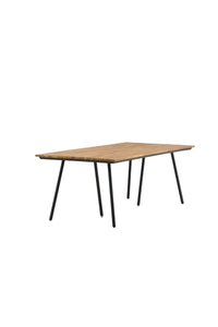 Chan Tisch 