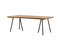 Chan Tisch 