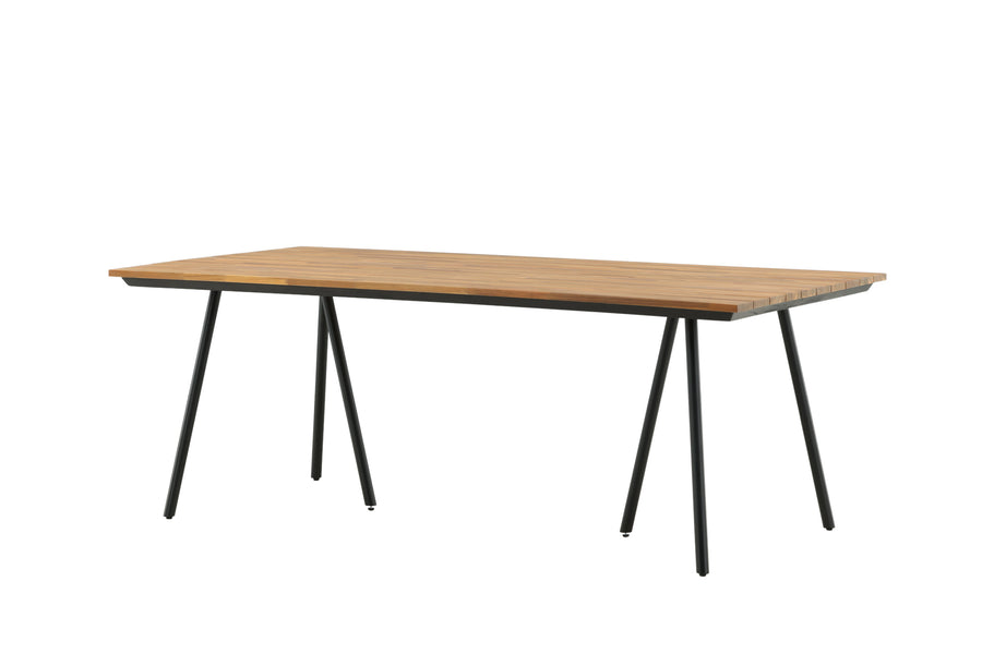 Chan Tisch 