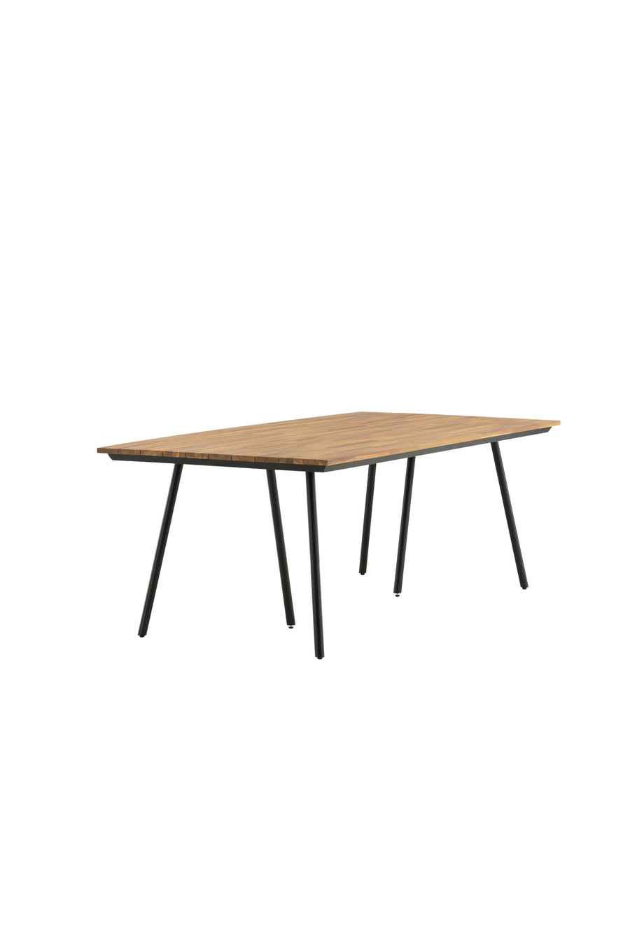 Chan Tisch 
