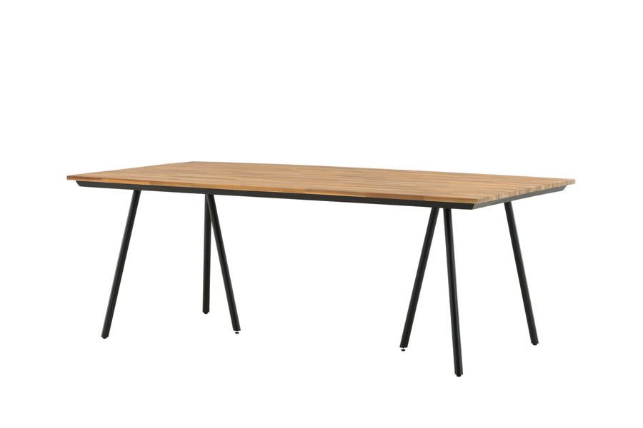Chan Tisch 