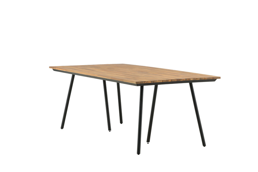 Chan Tisch 
