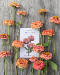 Zinnia 'Oklahoma Salmon' Samen