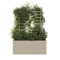 Spalier für den Außenblumentopf ROS