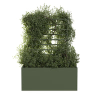 Spalier für den Außenblumentopf ROS