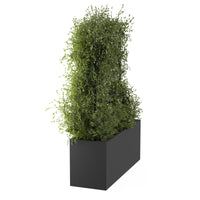 Spalier für den Außenblumentopf ROS