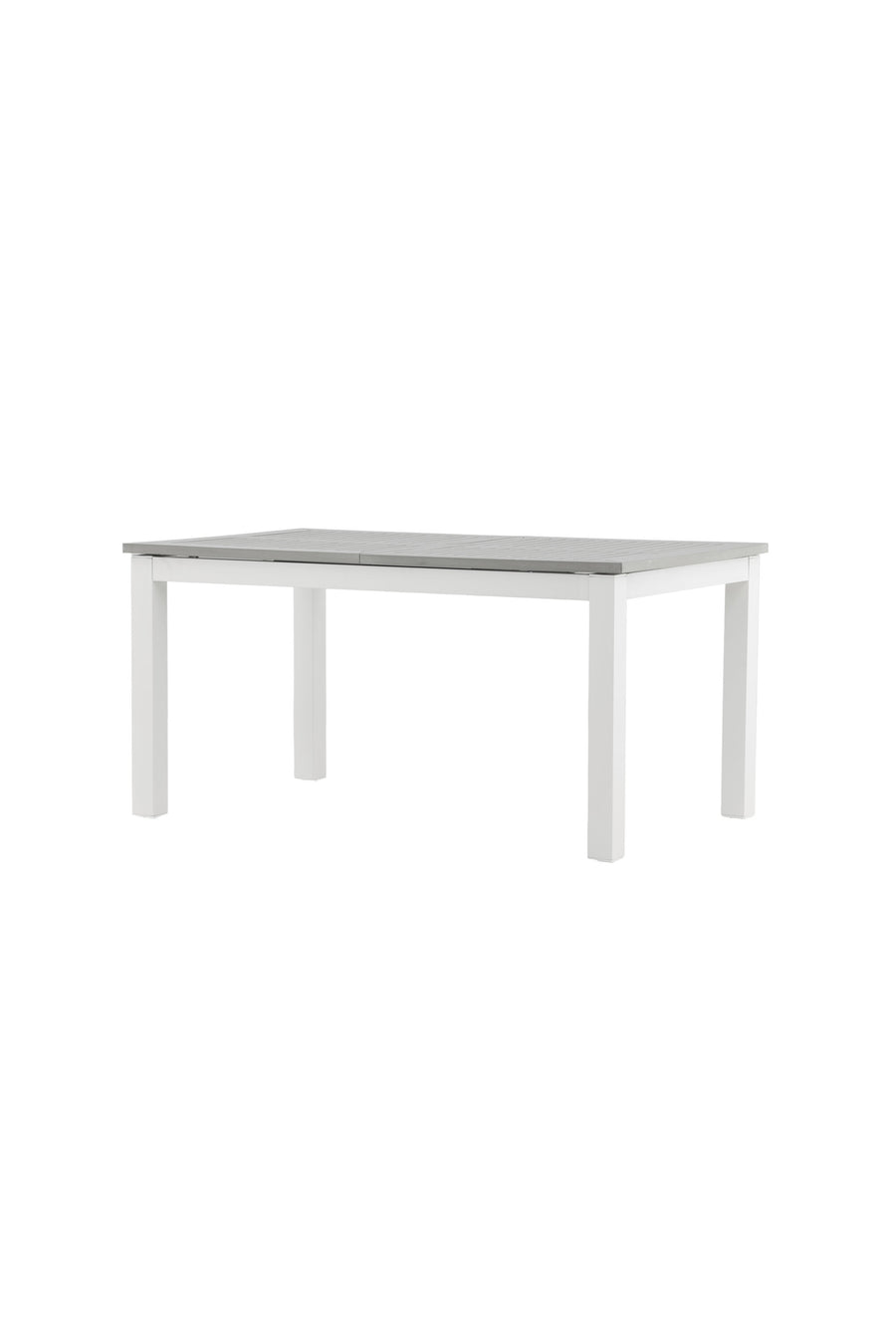 Albany Tisch 