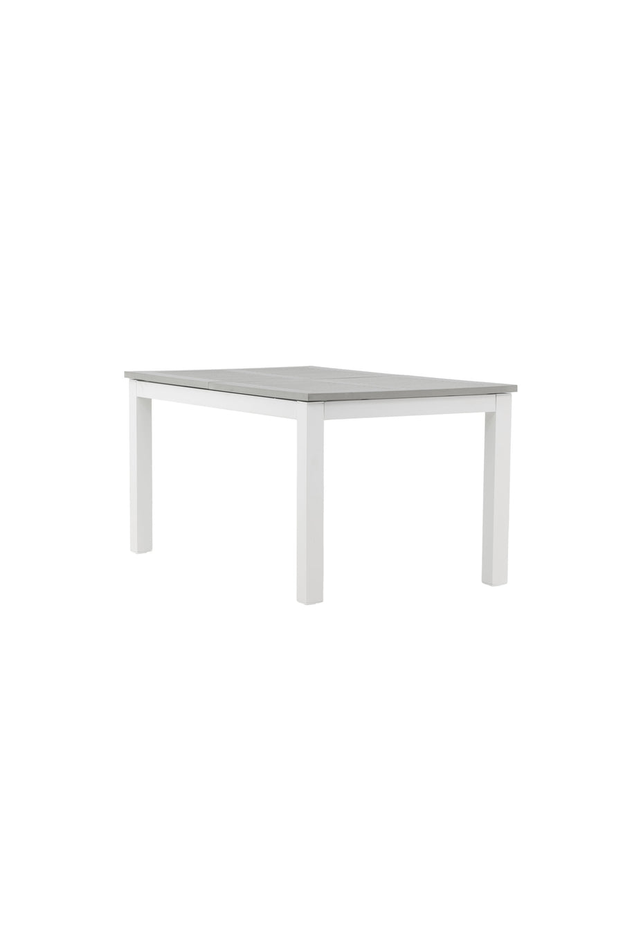 Albany Tisch 