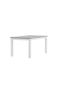 Albany Tisch 