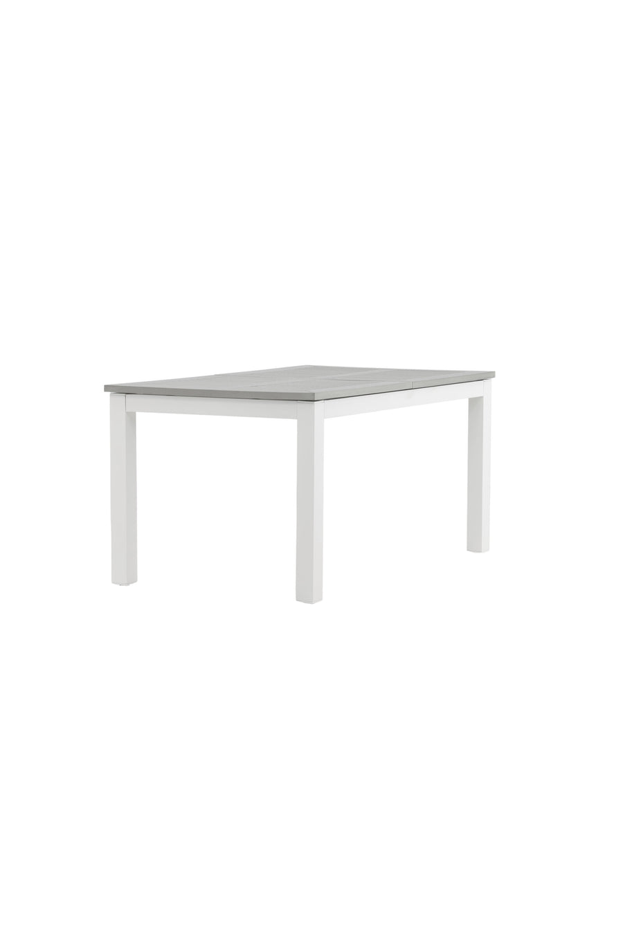 Albany Tisch 