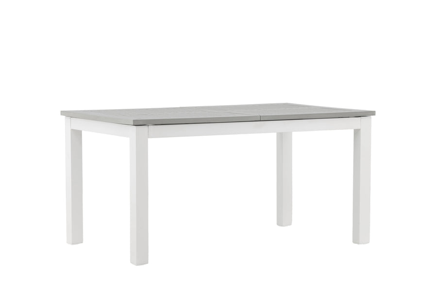 Albany Tisch 