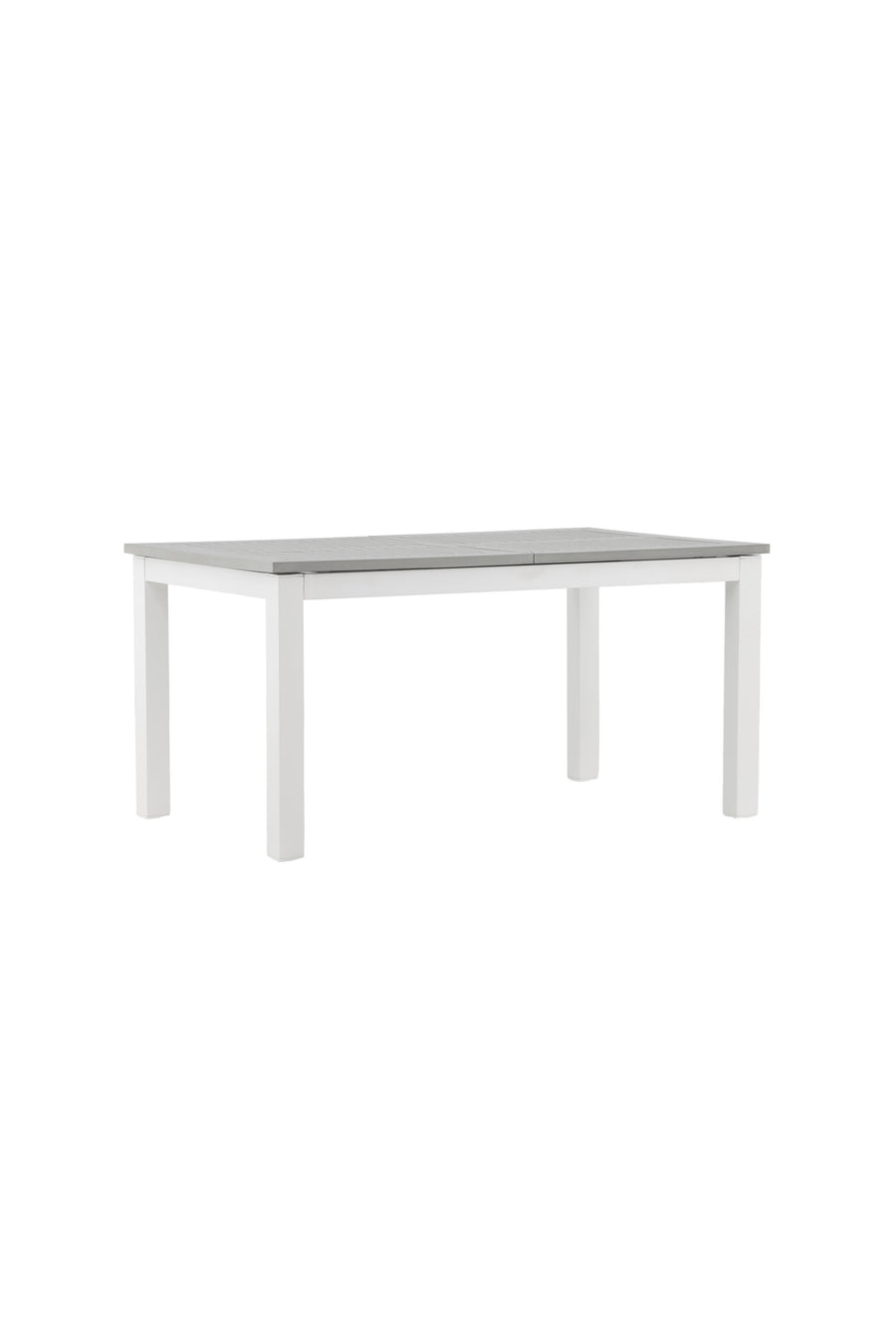 Albany Tisch 