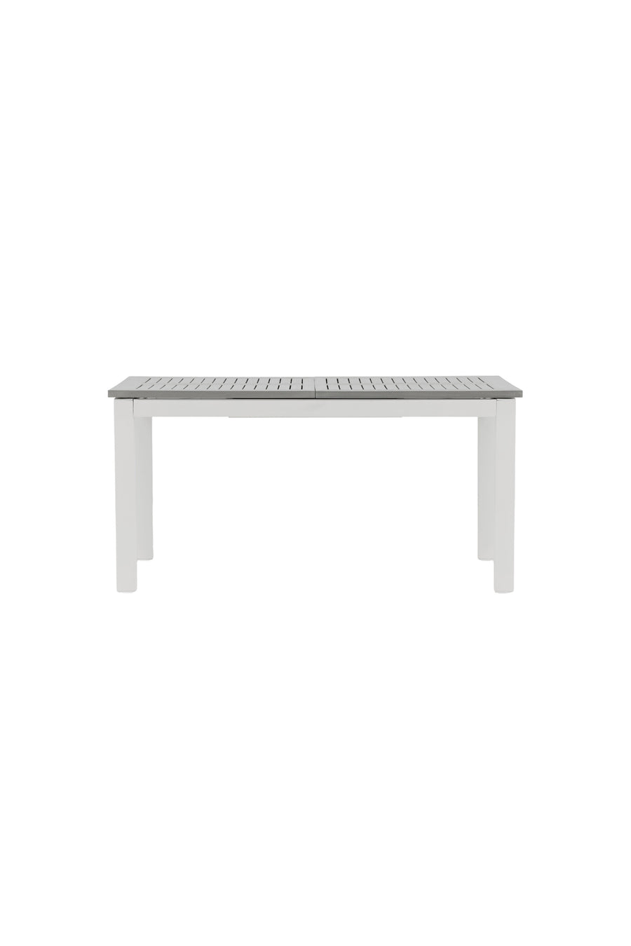 Albany Tisch 