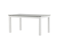 Albany Tisch 
