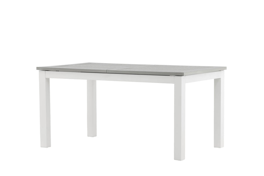 Albany Tisch 