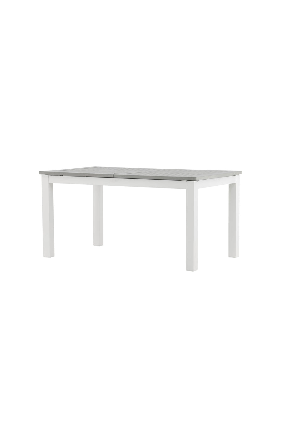 Albany Tisch 