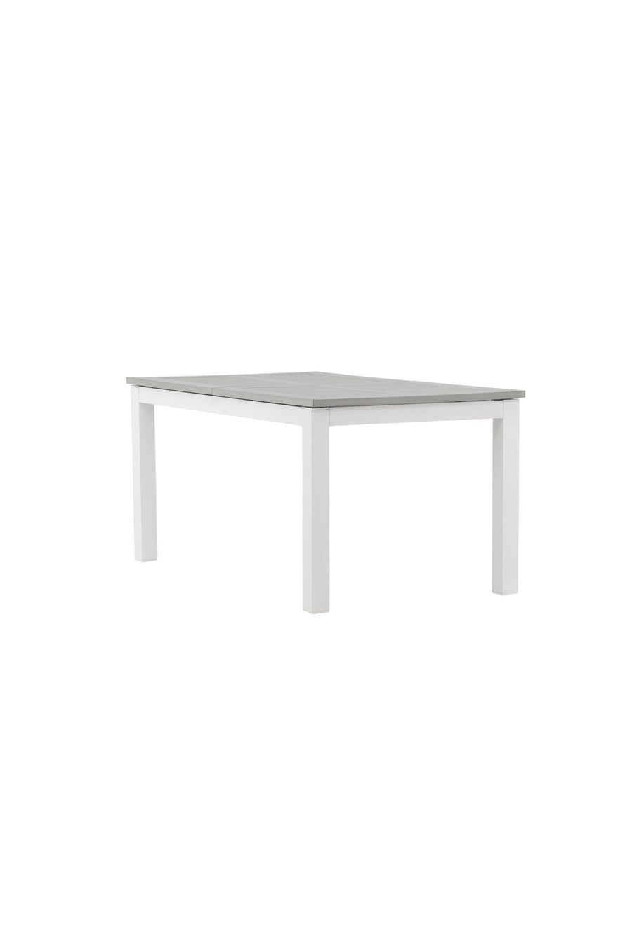Albany Tisch 