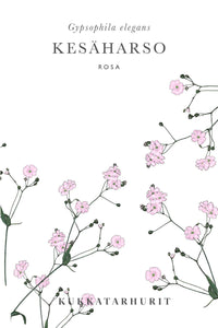 Sommer Harso Rosa Samen