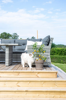 London Ecksofa-Gruppe 