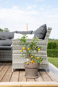 London Ecksofa-Gruppe 