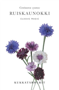 Blaue Kornblume Klassische Magie Samen