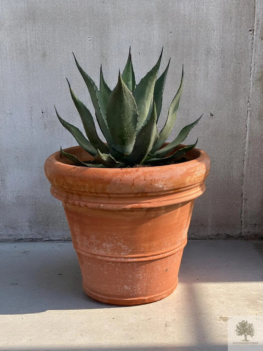 Terrakottatopf - Toscana - 40 cm Durchmesser - 35 cm Höhe 