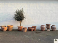 Terrakotta-Topf Toscana - 50 cm Durchmesser - 41 cm Höhe 