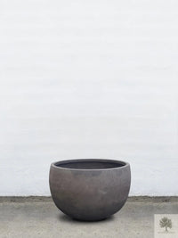 Terrakotta-Blumentopf grau - niedrig rund - 64-120 cm 