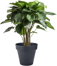 Blumentopf Kunststoff