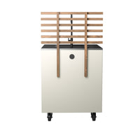 Gastro Außenküche Waschmodul mit Ripp-Rücken