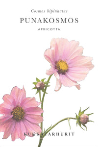 Rosenskära 'Apricotta' Samen