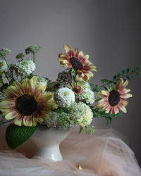 Sonnenblumenkerne Pro Cut Plum Samen