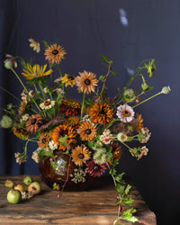 Sommer-Rudbeckia Samen