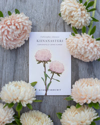 Sommeraster Chrisantella Lotos Samen