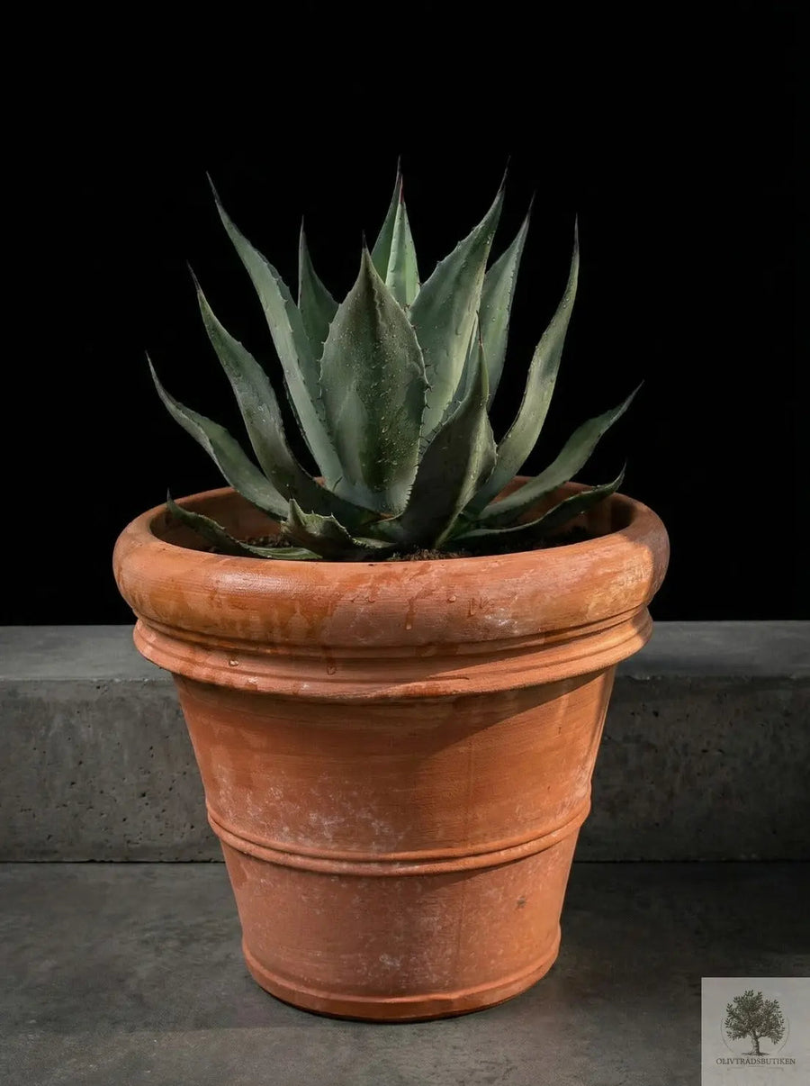Terrakottatopf - Siena - 40 cm Durchmesser - 35 cm Höhe 